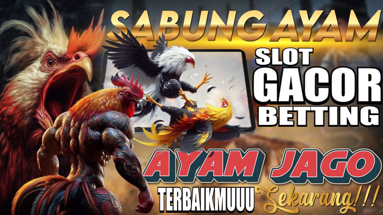 Sabung Ayam